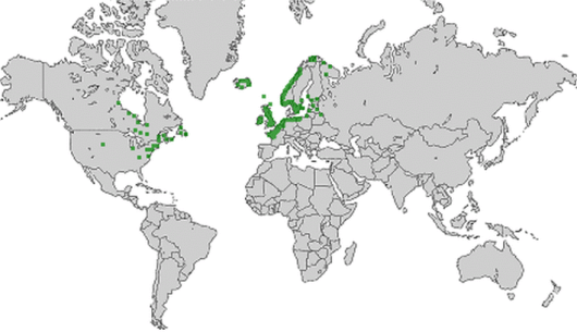 bron: wilde-planten.nl, 2015 bron: wilde-planten.nl, 2015