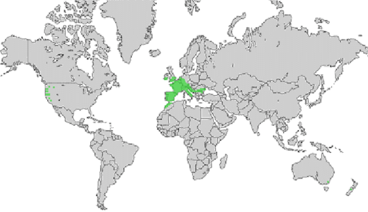 bron: wilde-planten.nl, 2015 bron: wilde-planten.nl, 2015