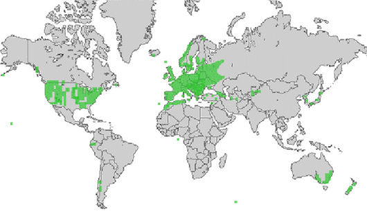 bron: wilde-planten.nl, 2015 bron: wilde-planten.nl, 2015
