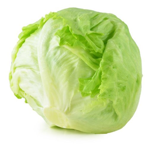 Go to the Lettuce genetic resources Portal